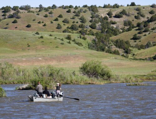 Fishing community reeling over state’s response to historic trout declines