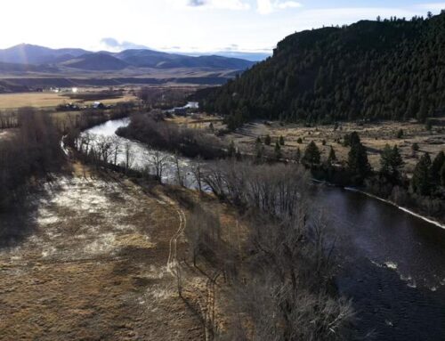 The Big Hole River and its continued state of peril; trout numbers again at historic lows