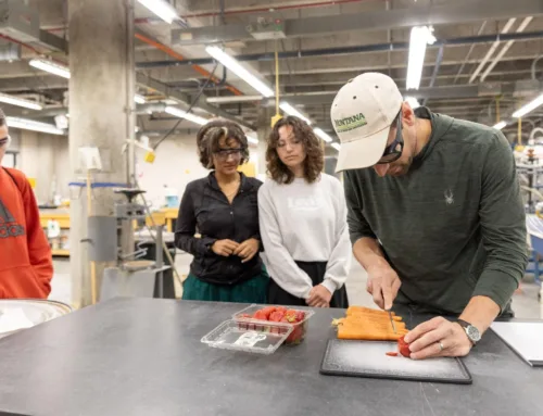 High-schoolers get free, hands-on materials engineering experience at Montana Tech